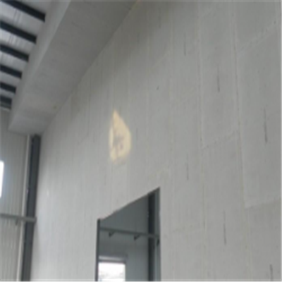 宜丰新型建筑材料掺多种工业废渣的ALC|ACC|FPS模块板材轻质隔墙板